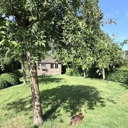 Feriehus Cosy By Marleen Met Grote Tuin